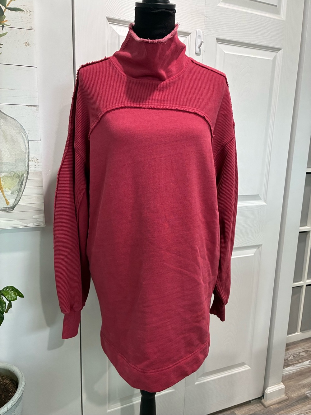 Free People Plush Raspberry Pullover